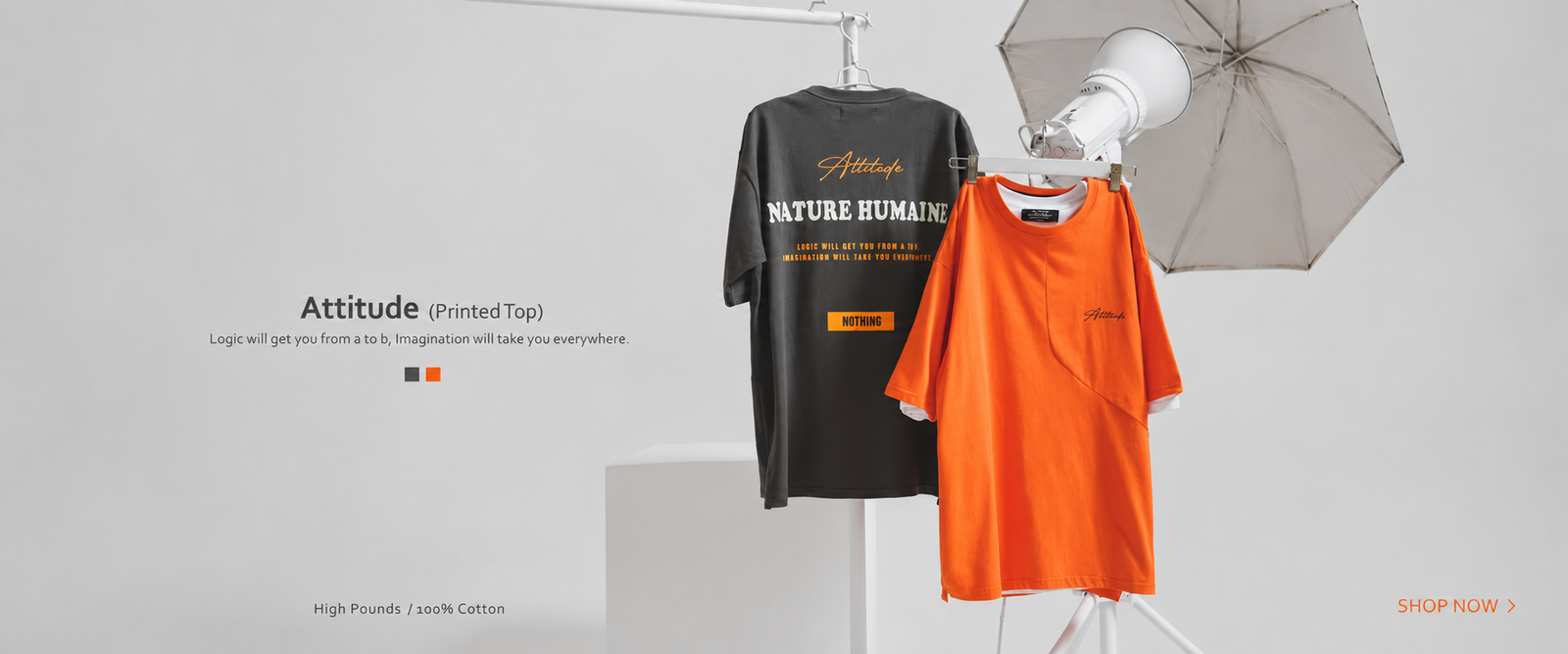 Explore the latest arrivals